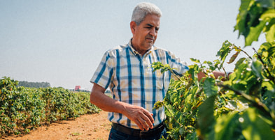 Fazenda Congonhas