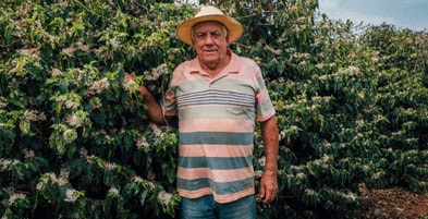 Fazenda Marques e Machado