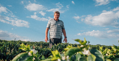 Fazenda Pântano