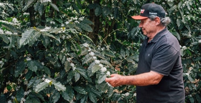 Fazenda Santo Antônio